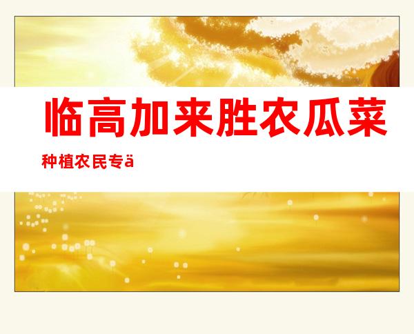 临高加来胜农瓜菜种植农民专业合作社